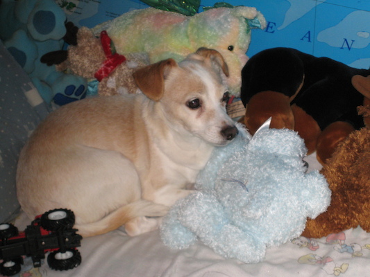 Where's Emily? (03-19-2007 19:13)