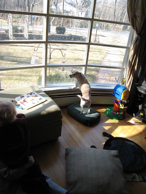 Emily barking (04-01-2007 09:26)