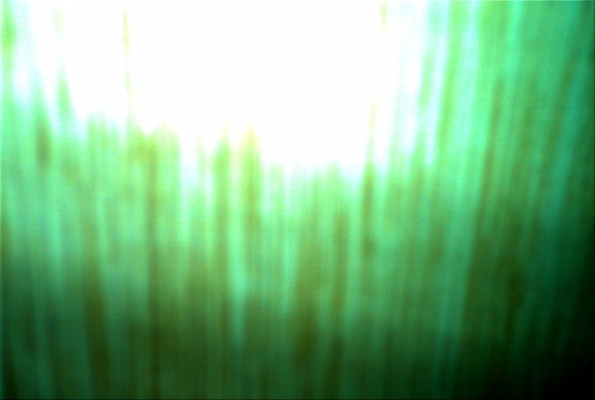 Green Glow (05-26-2007 19:04)