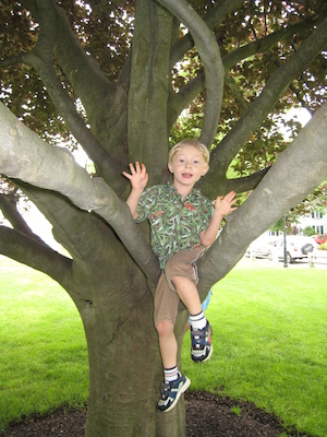 Tim in a tree (06-03-2007 11:39)