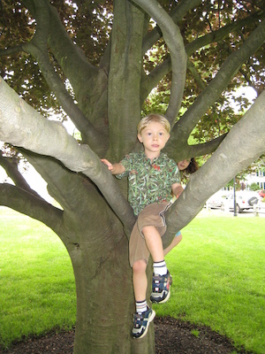 Tim in a tree (06-03-2007 11:39)