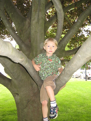 Tim in a tree (06-03-2007 11:40)