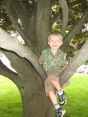Tim in a tree (06-03-2007 11:40)