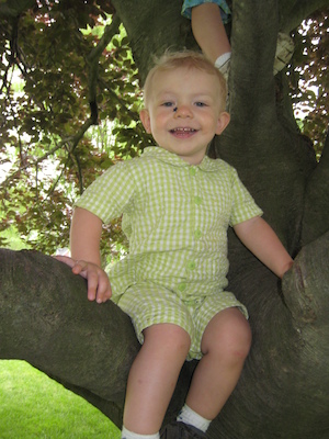 Cole in a tree (06-03-2007 11:40)