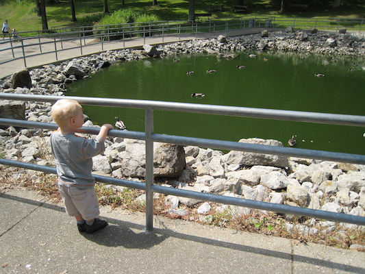 Cole watching ducks (06-16-2007 11:12)