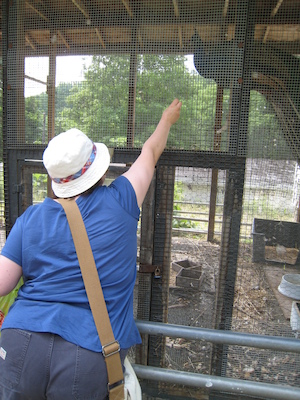 Christine feeding a peacock (06-16-2007 11:17)