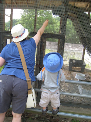 Christine and Cole feeding the peacock (06-16-2007 11:18)