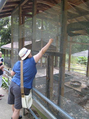 Christine feeding the peacock (06-16-2007 11:18)