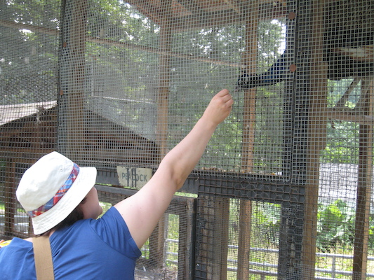 Christine feeding the peacock (06-16-2007 11:19)