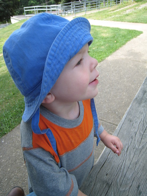 Cole watching (06-16-2007 11:24)