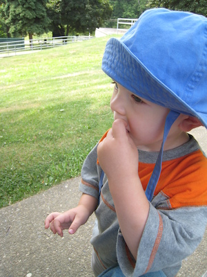 Cole (06-16-2007 11:24)