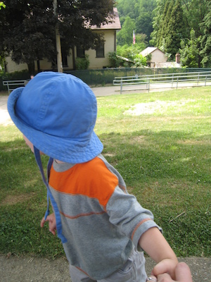 Cole (06-16-2007 11:24)