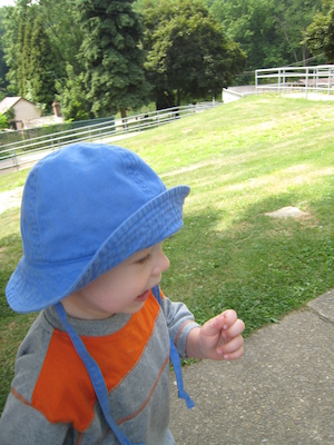 Cole (06-16-2007 11:25)