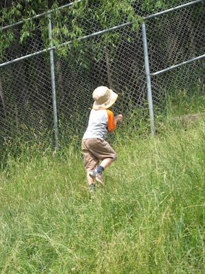 Tim about to feed the buffalo (06-16-2007 11:26)