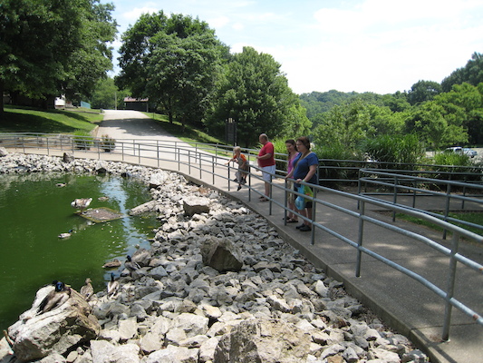 Cole, Tim, Poppy, Kristin and Christine feeding the ducks (06-16-2007 12:15)