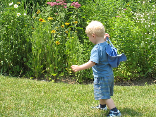 Cole (06-18-2007 12:40)