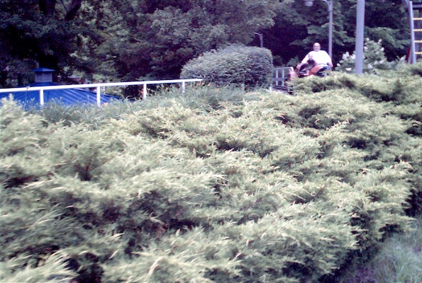 Cole and Poppy "driving"