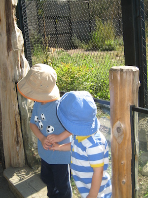 Tim and Cole looking at a tiger (08-28-2007 11:10)