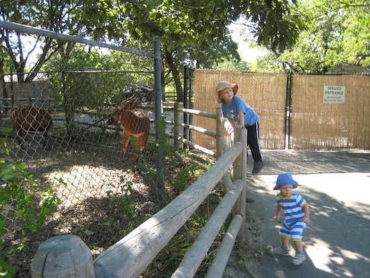 Tim, Cole and the Bongos (08-28-2007 11:18)
