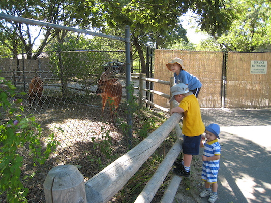 Tim, Cole and the Bongos (08-28-2007 11:18)