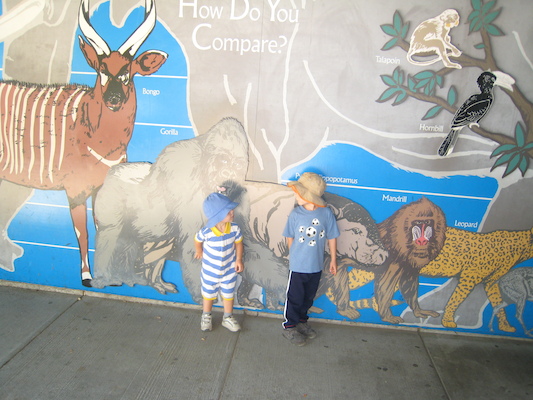 Cole and Tim and the animal heights (08-28-2007 11:27)