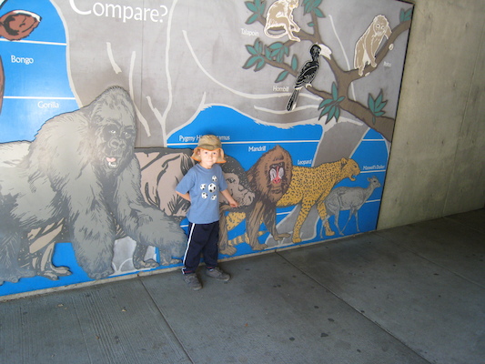 Tim and the animal heights (08-28-2007 11:27)