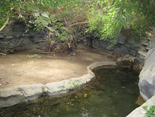 Capybara (08-28-2007 11:40)