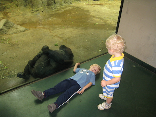 Tim, Cole and the gorilla (08-28-2007 11:44)