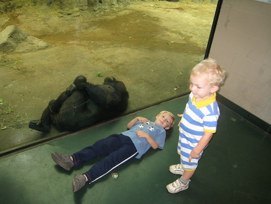 Tim, Cole and the gorilla (08-28-2007 11:44)