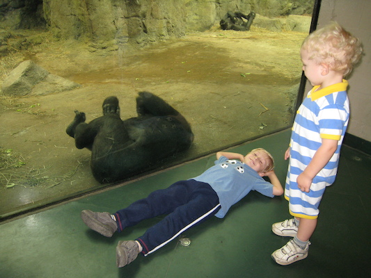 Tim, Cole and the gorilla (08-28-2007 11:44)