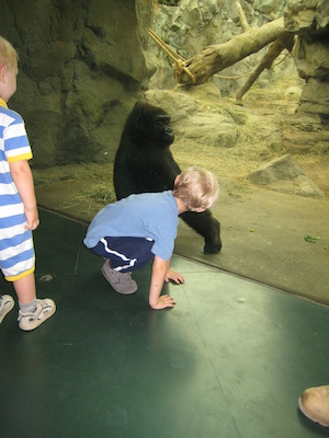 Tim, Cole and the gorilla (08-28-2007 11:44)