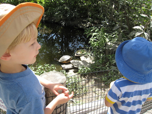 Tim, Cole and the turtle (08-28-2007 12:47)