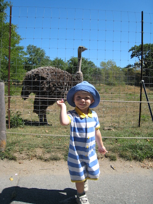 Cole and the ostrich (08-28-2007 12:52)