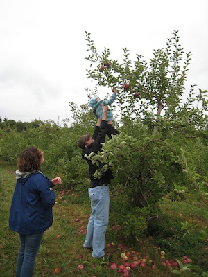 Seann and Tim picking apples (10-07-2007 14:53)