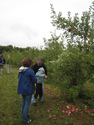Seann and Tim picking apples (10-07-2007 14:53)