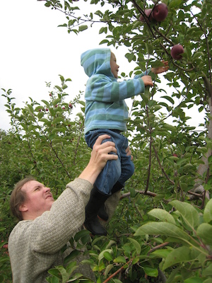 Ben and Cole picking apples (10-07-2007 14:54)