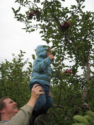 Ben and Cole picking apples (10-07-2007 14:54)
