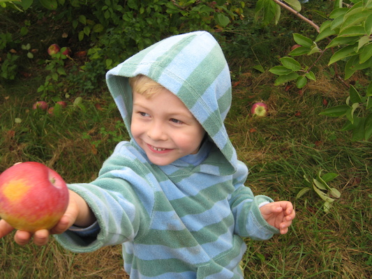 Tim's apple (10-07-2007 14:54)