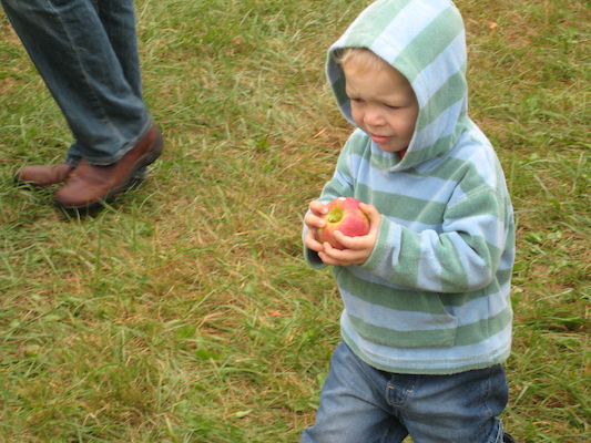 Cole and his apple (10-07-2007 14:55)