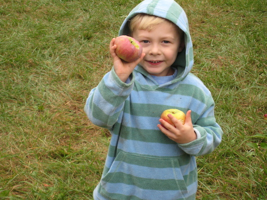 Tim's apples (10-07-2007 14:55)