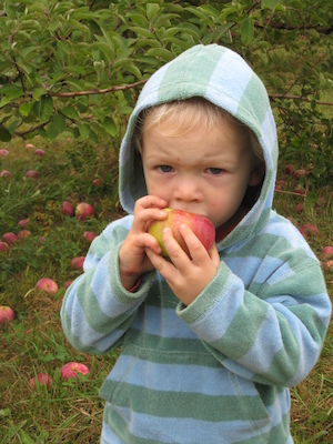 Cole eating an apple (10-07-2007 14:56)