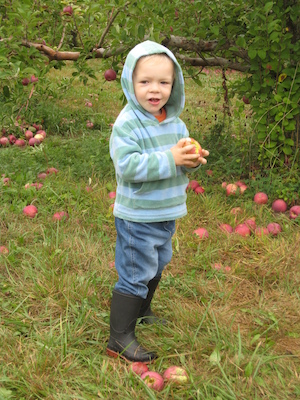 Cole eating an apple (10-07-2007 14:56)