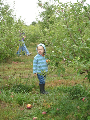 Cole in the orchard (10-07-2007 14:57)