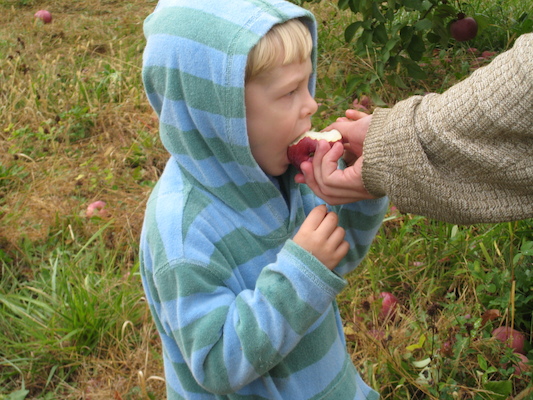 Tim eating an apple (10-07-2007 15:02)