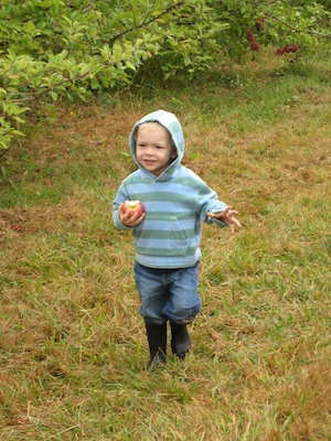 Cole in the orchard (10-07-2007 15:03)
