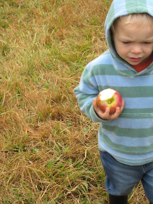 Cole in the orchard (10-07-2007 15:03)