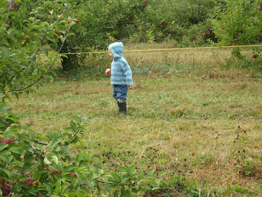 Cole in the orchard (10-07-2007 15:03)