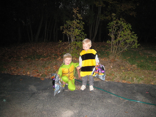 Tim turtle and Cole bee ready for Halloween (10-31-2007 17:49)