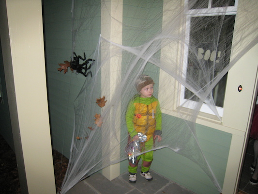 Tim trapped in a web (10-31-2007 18:31)