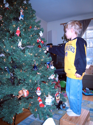 Tim decorating the tree (12-02-2007 08:21)